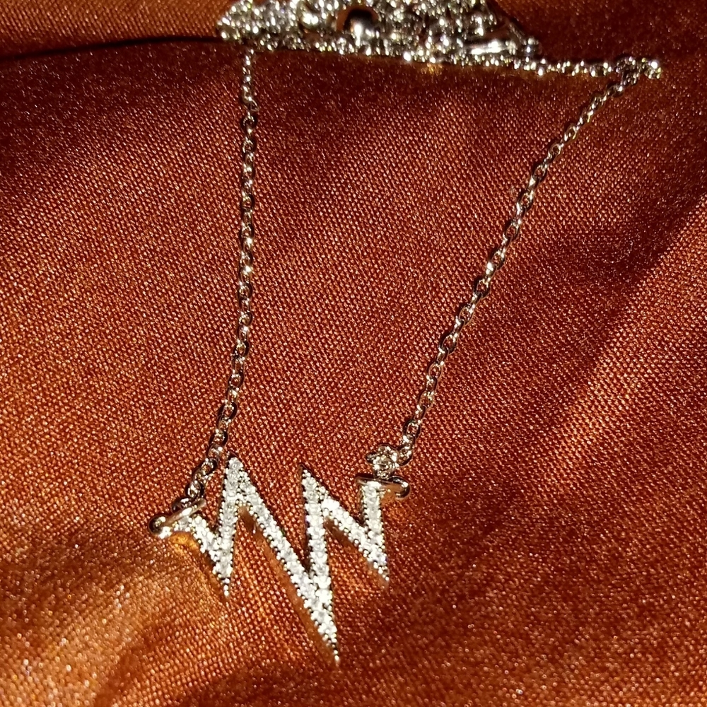 Lifeline Necklace (NWOT)